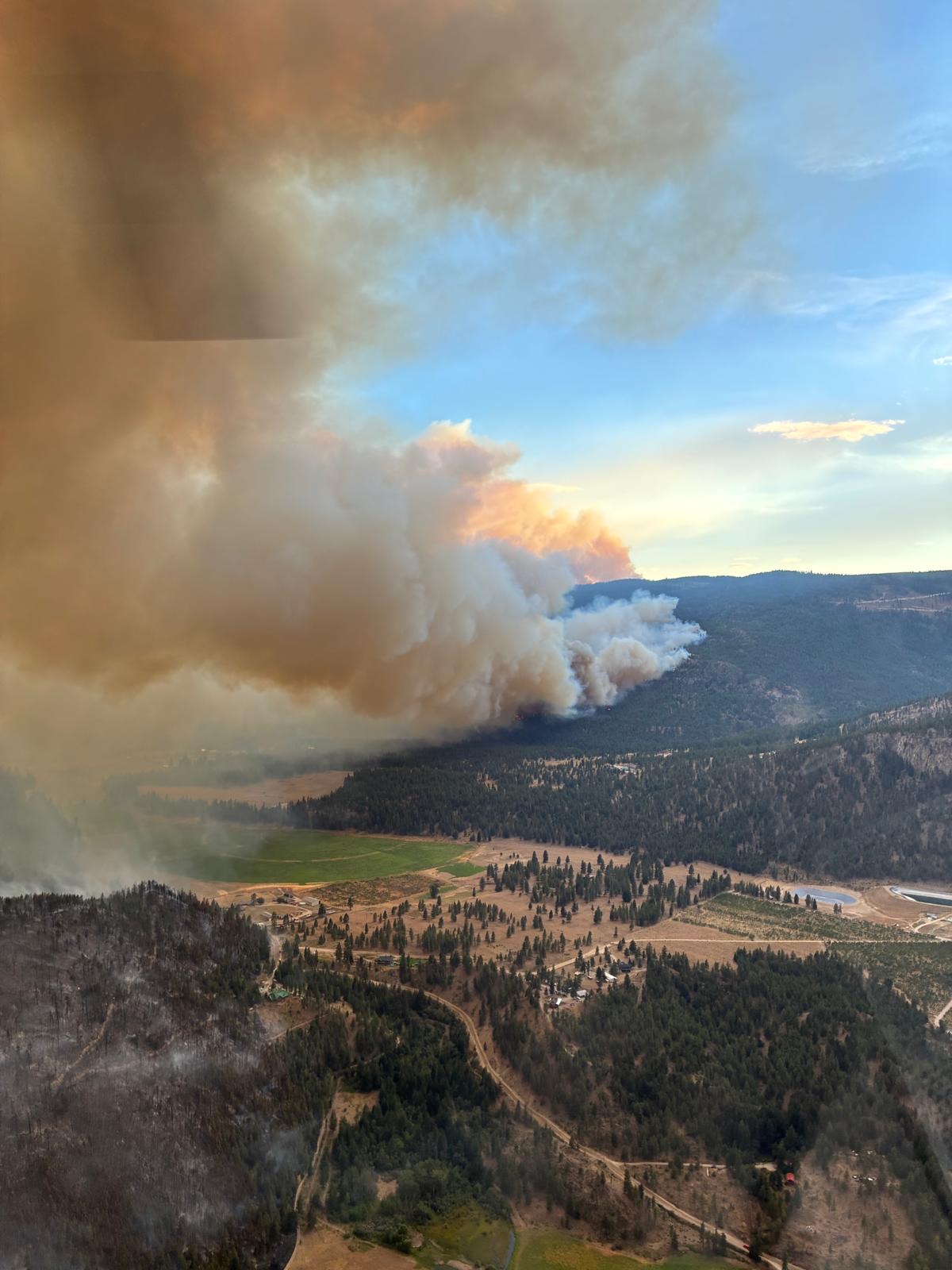 An aerial view of a smoke column rising over Okanagan farmland and forest.
